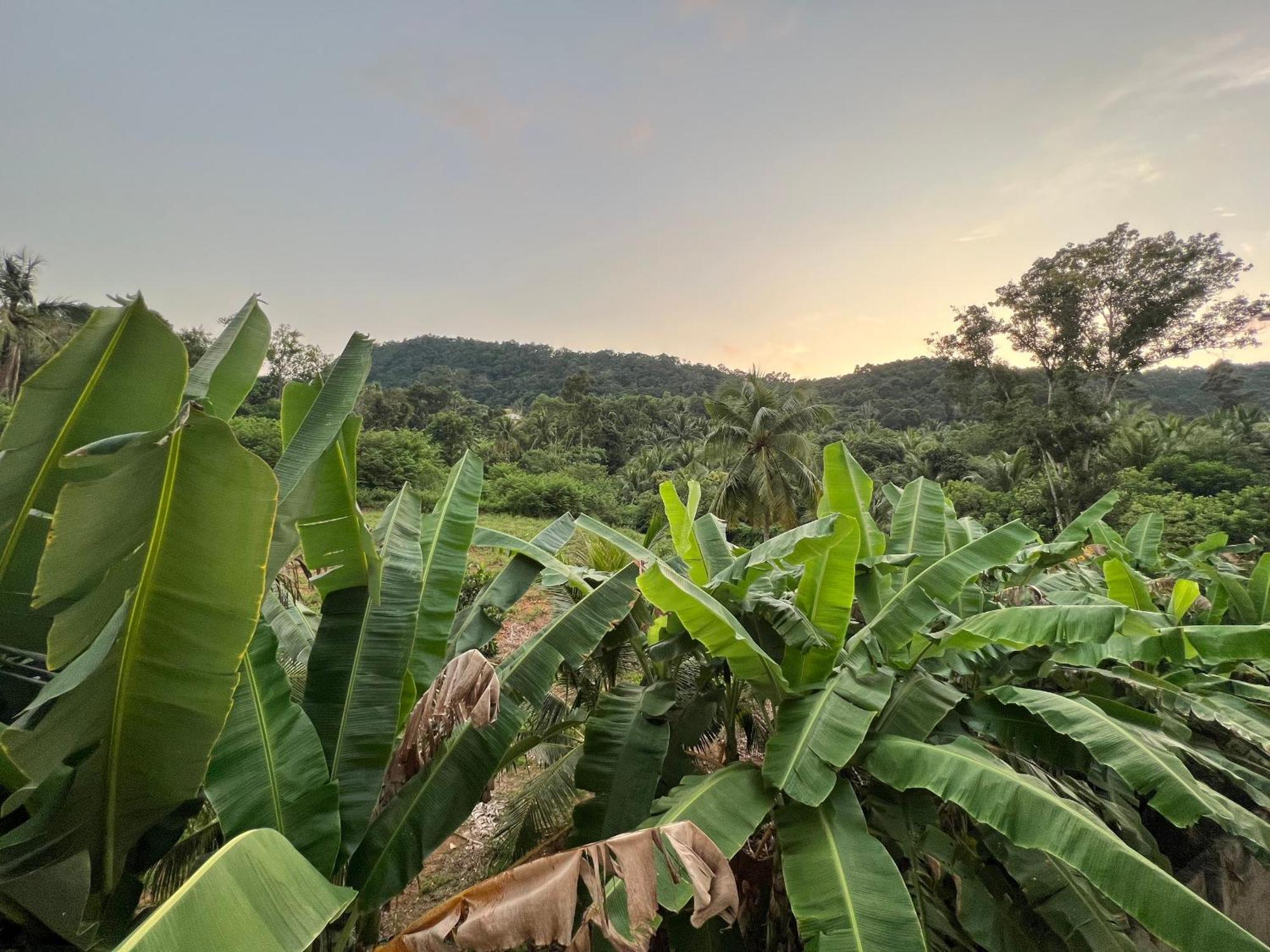Bungalow Sang Tuoi Mountains Phu Quoc Exterior foto